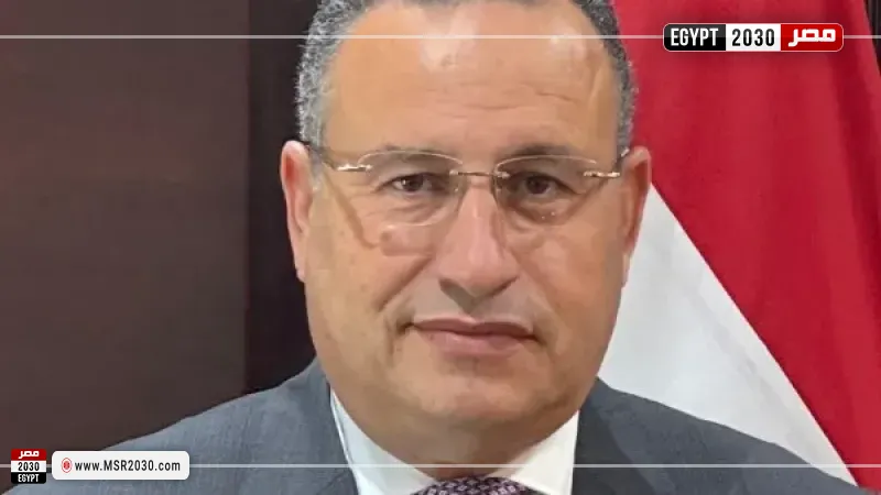  الدكتور عبدالعزيز قنصوة، وزير التعليم العالي والبحث العلمي