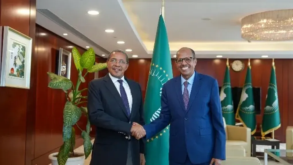 رئيس مفوضية الاتحاد الإفريقي يبحث مع رئيس تنزانيا الأسبق تطورات القرن الإفريقي وجهود السلام