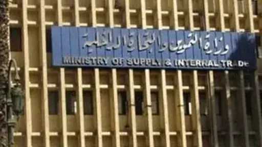 تأجيل  استئناف المتهمين في قضية رشوة وزارة التموين إلى 24 مايو