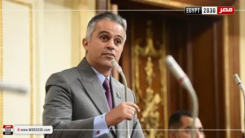 النائب أحمد فتحي يطالب بدعم الكيانات الشبابية