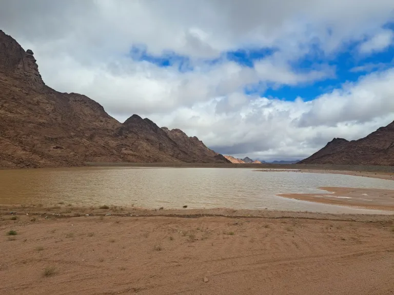 سيول