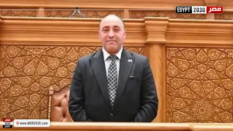 النائب حسام حسن