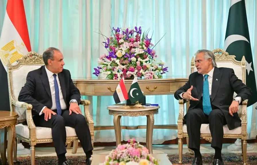 وزيرا خارجية مصر وباكستان يبحثان سبل تعزيز العلاقات الثنائية والتطورات الإقليمية