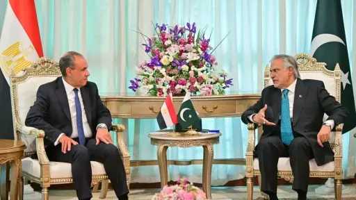 وزيرا خارجية مصر وباكستان يبحثان سبل تعزيز العلاقات... وزيرا خارجية مصر وباكستان يبحثان سبل تعزيز العلاقات الثنائية والتطورات الإقليمية