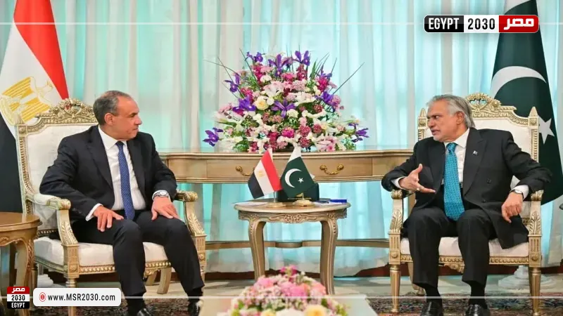وزيرا خارجية مصر وباكستان