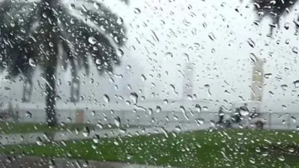 طقس اليوم.. شبورة وأمطار تضرب هذه المحافظات