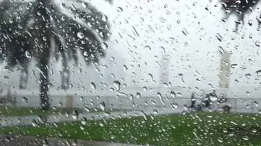 طقس اليوم.. شبورة وأمطار تضرب هذه المحافظات
