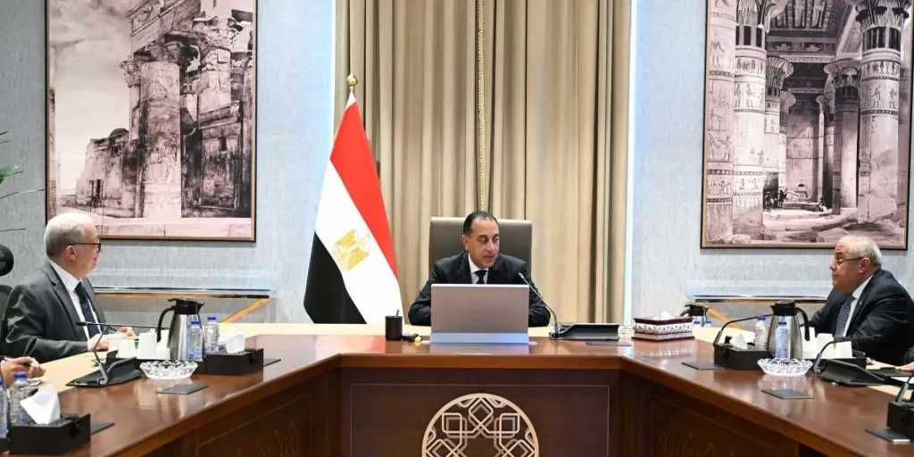 رئيس الوزراء يتابع مستجدات موقف ملف الشركات المملوكة للدولة