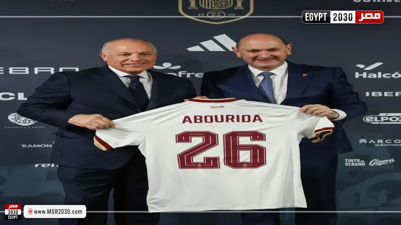 هاني أبو ريدة