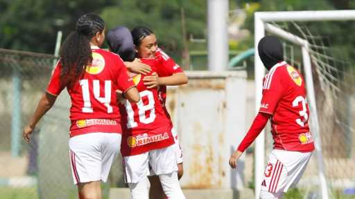 كرة القدم النسائية| «أهلي 2007» يواجه «بالم هيلز» في نهائي بطولة الجمهورية