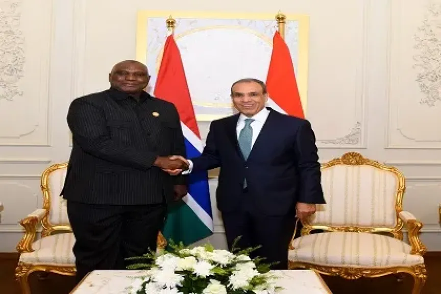 جانب من اللقاء