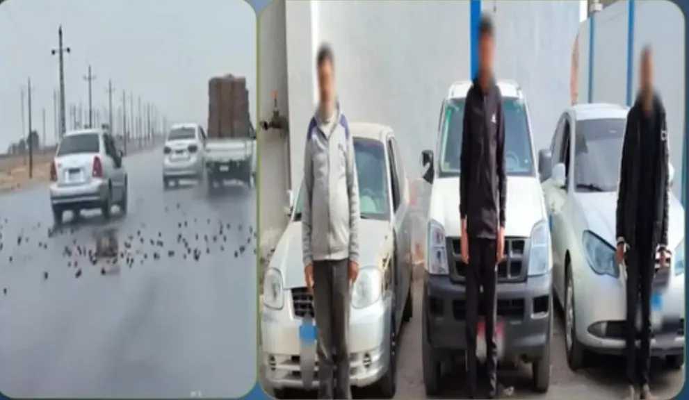 بسبب خلافات الجيرة.. الأمن يكشف ملابسات فيديو “مطاردة الإسماعيلية” ويضبط المتورطين