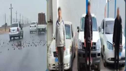 بسبب خلافات الجيرة.. الأمن يكشف ملابسات فيديو “مطاردة الإسماعيلية” ويضبط المتورطين