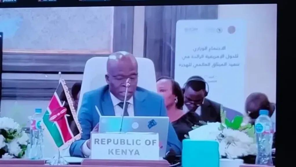 كينيا: مستعدون للعمل مع الشركاء الإفريقيين لضمان تعزيز الهجرة النظامية