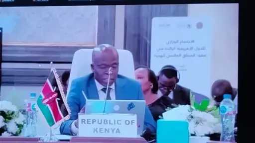 كينيا: مستعدون للعمل مع الشركاء الإفريقيين لضمان تعزيز الهجرة النظامية
