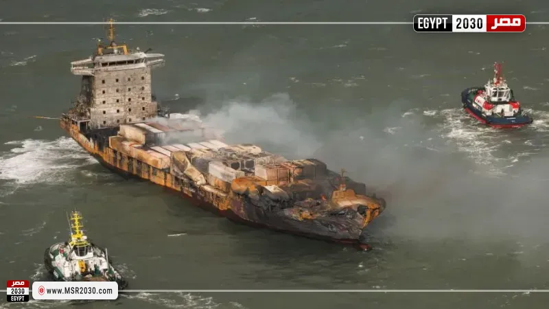 اصطدام سفينة نشطاء بأخرى لصيد الكريل بالقطب الجنوبي