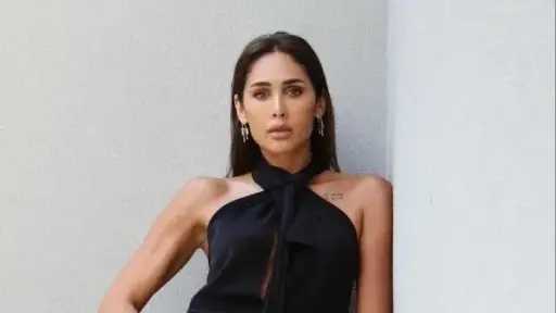 كل ما تود معرفته عن مسلسل الفرنساوي