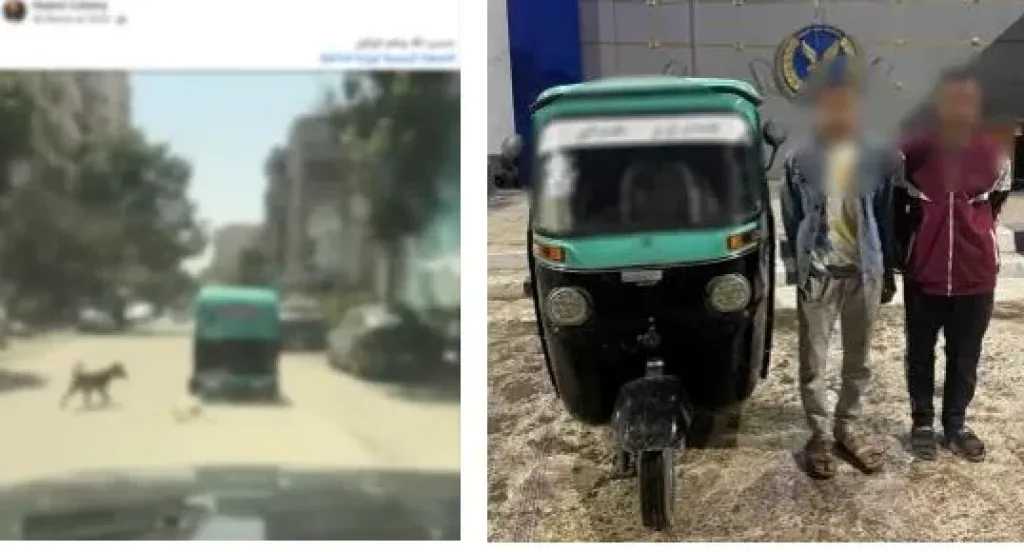 الأمن يكشف ملابسات فيديو ربط ”كلب نافق” بخلفية توك توك بالقاهرة
