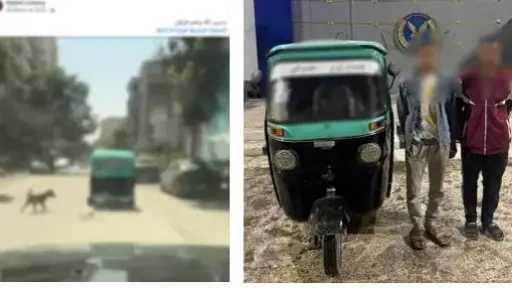الأمن يكشف ملابسات فيديو ربط ”كلب نافق” بخلفية توك توك بالقاهرة