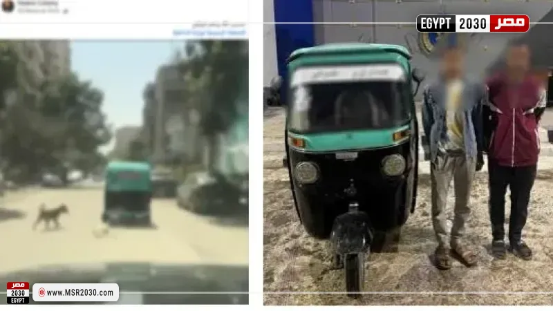 الأمن يكشف ملابسات فيديو ربط "كلب نافق" 