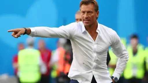 صدمة في الأخضر.. حقيقة رحيل هيرفي رينارد قبل مونديال 2026