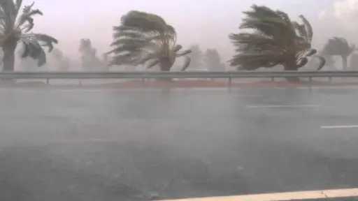 الوادي الجديد ترفع درجة الجاهزية لمواجهة الطقس السيئ وتكثف جهود استعادة الخدمات