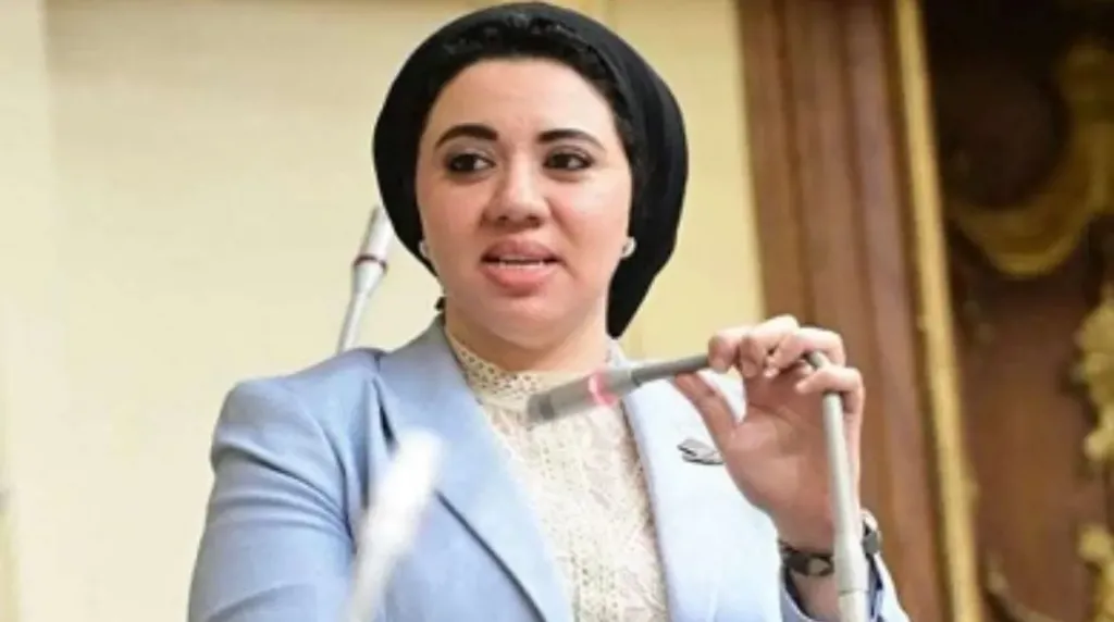 النائبة أميرة صابر 