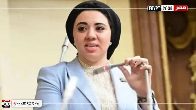 النائبة أميرة صابر 