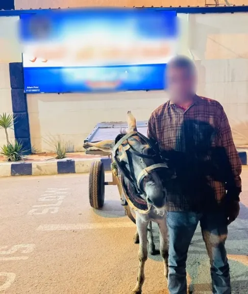 المتهم 