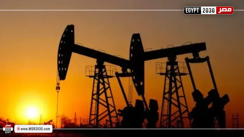 مصر 2030
