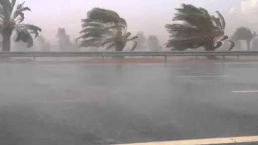 حالة الطقس اليوم.. الأرصاد تحذر: سحب رعدية وأمطار غزيرة تضرب الإسكندرية وتمتد للوجه البحري