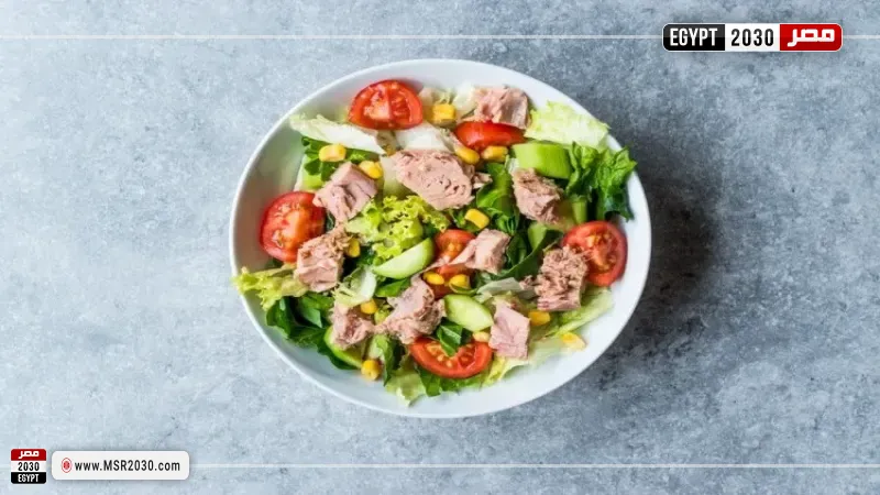 مصر 2030