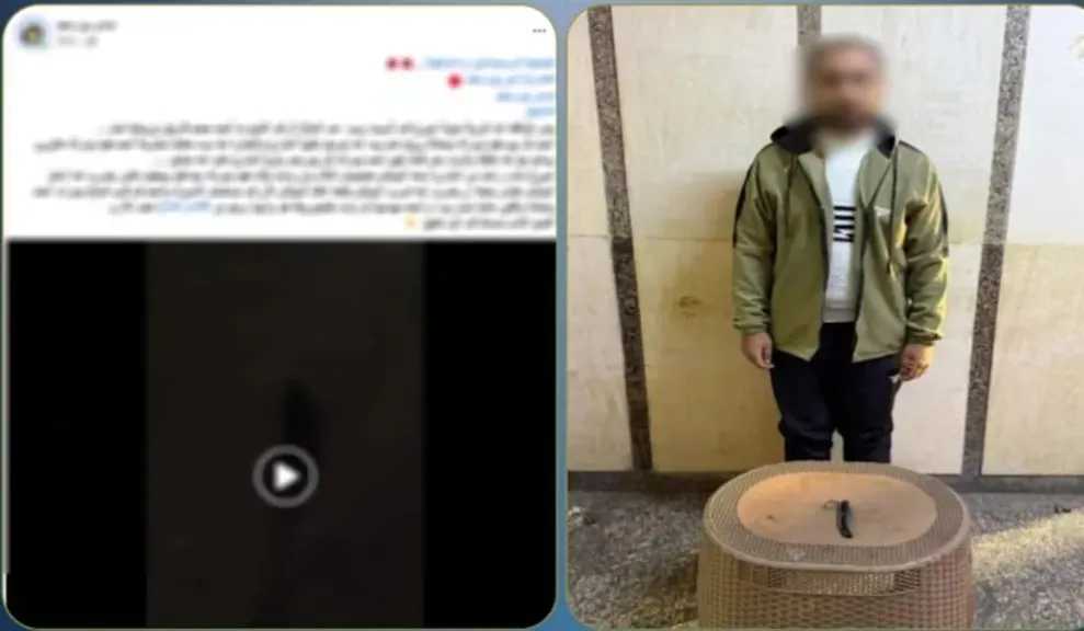 القبض على عاطل في بورسعيد لتعديه على والدته وطعن مواطن
