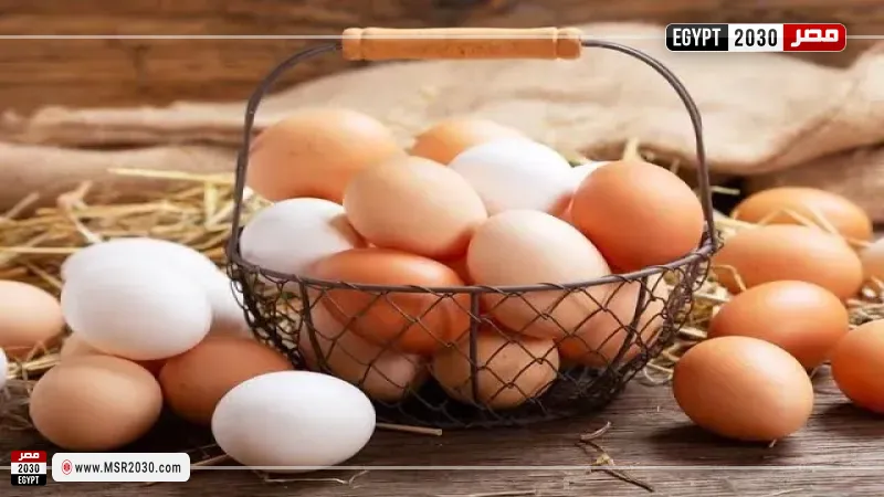 مصر 2030