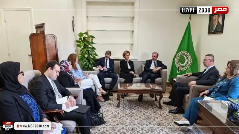 لقاء عربي أوروبي لبحث التصعيد في الأراضي العربية ووقف الحرب على إيران