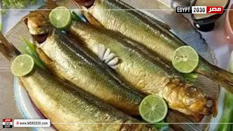 مصر 2030