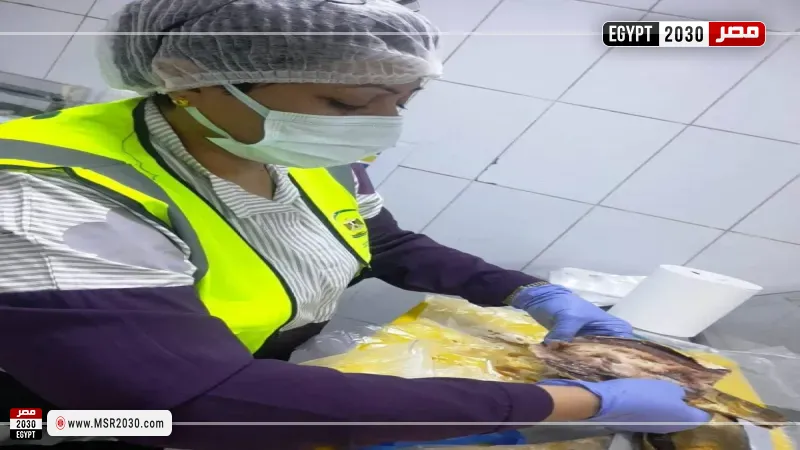 إعدام لحوم مصنعة فاسدة في حملات تفتيش موسعة بأسوان