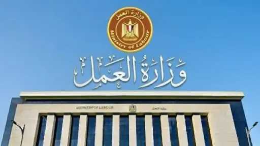 العمل: التفتيش على 59 ألف منشأة.. والتعامل مع 3134 شكوى عمالية