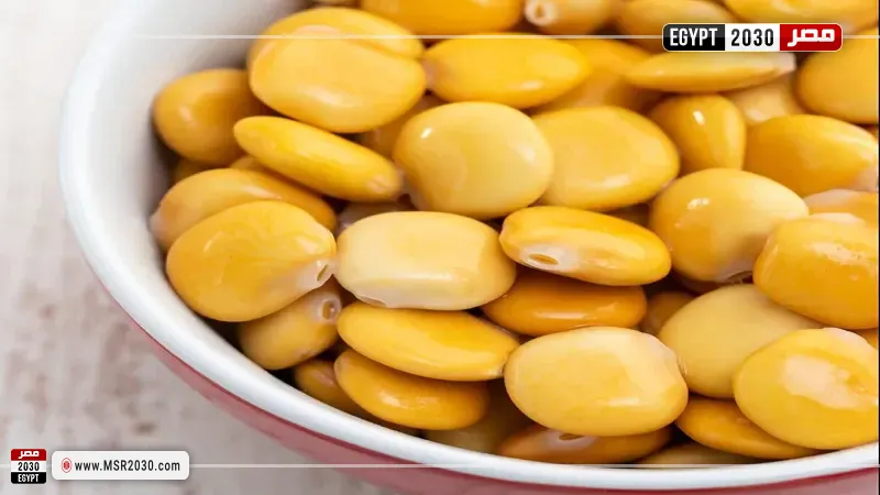 مصر 2030