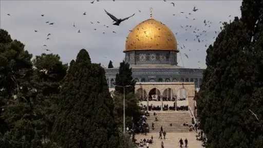 حاخام وأكثر من 200 مستوطن يقتحمون المسجد الأقصى بحراسة إسرائيلية