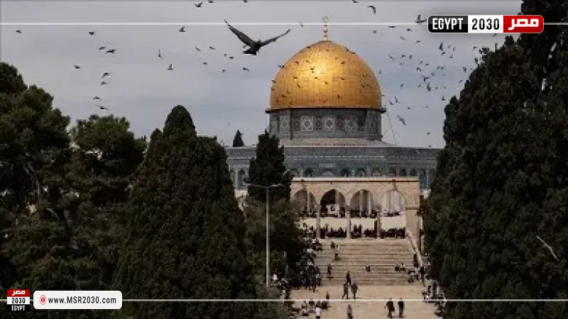 حاخام وأكثر من 200 مستوطن يقتحمون المسجد الأقصى بحراسة إسرائيلية