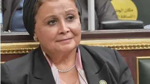 الصحة: انخفاض عدد المواليد السنوي لأول مرة منذ... الصحة: انخفاض عدد المواليد السنوي لأول مرة منذ 2007