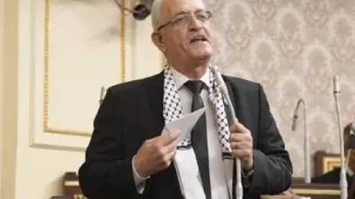 النائب عاطف مغاوري يؤكد ضرورة التركيز على حماية الأطفال: أمانة في عنقي الطرفين حتى بعد الانفصال