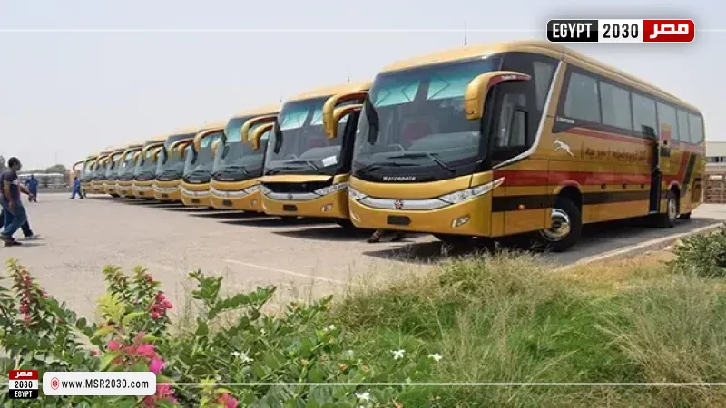 الاتوبيسات