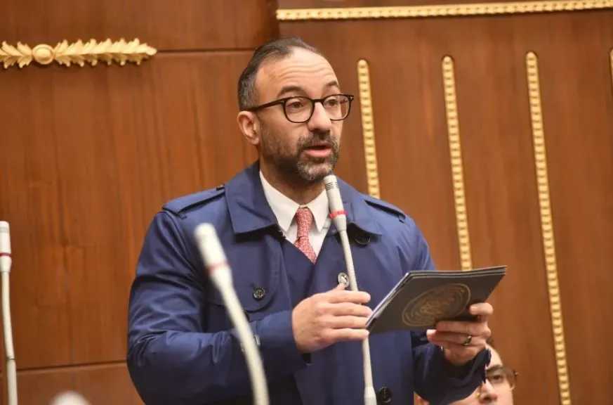 عضو بالشيوخ يدعو لحوار مجتمعي حول الحضانة والاستضافة ويقترح صندوق طوارئ لدعم النساء