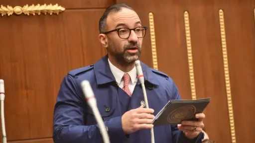 عضو بالشيوخ يدعو لحوار مجتمعي حول الحضانة والاستضافة ويقترح صندوق طوارئ لدعم النساء