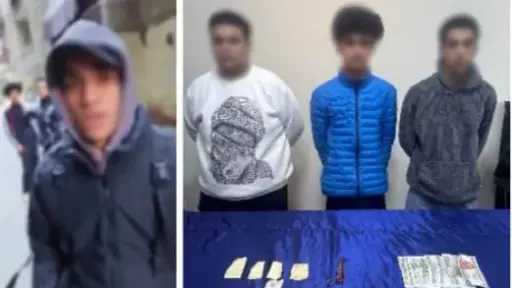 القبض على 3 لصوص لسرقة أجنبي  وتعدى عليها بالجيزة