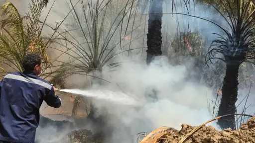 السيطرة على حريق فى مزارع نخيل بقرية العوينة... السيطرة على حريق فى مزارع نخيل بقرية العوينة بالداخلة