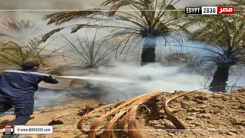 جانب من الحريق