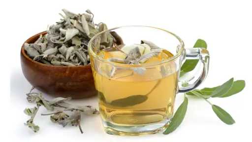 المريمية.. عشبة قديمة تعود للواجهة لدعم الذاكرة وتحسين التركيز